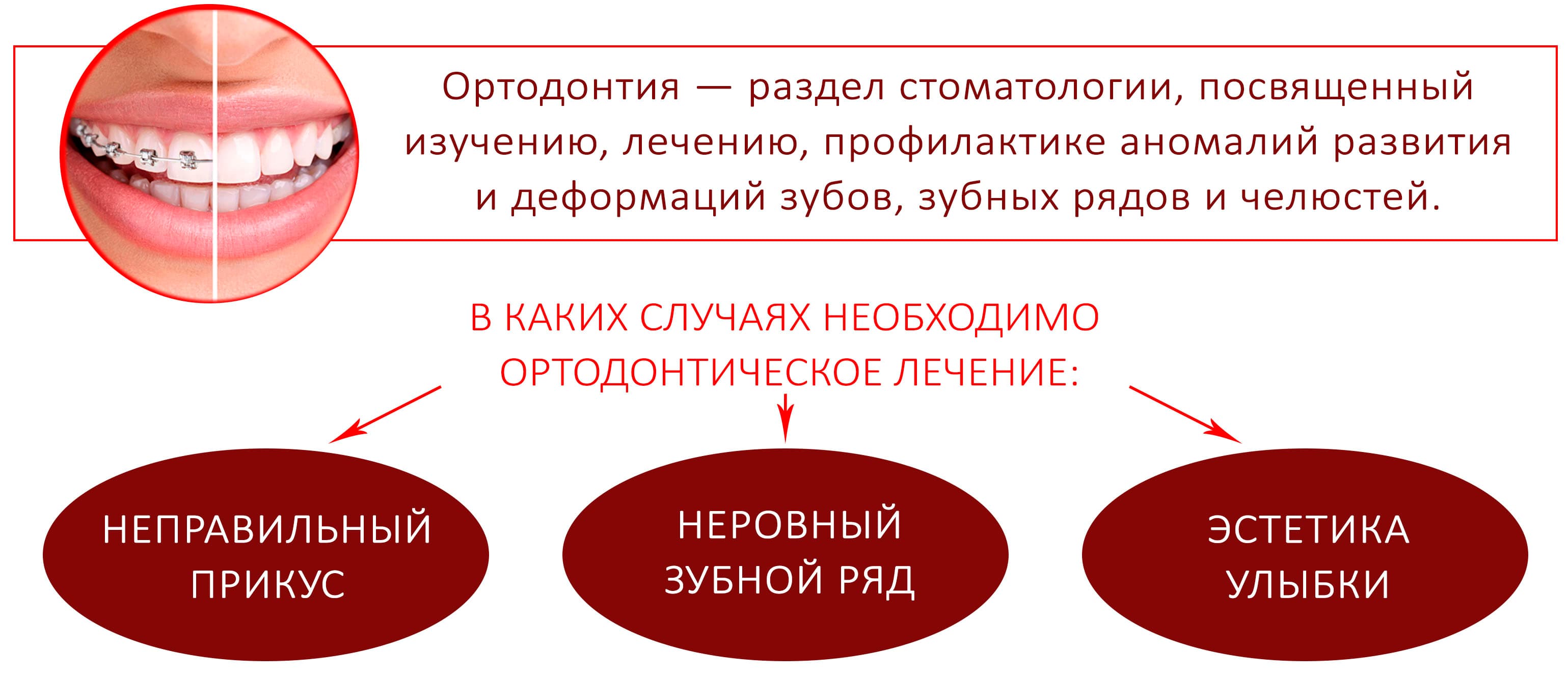 ортодонтия